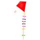 Kikkerland Red Kite vlieger